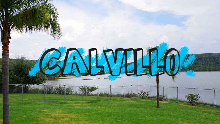 CALVILLO